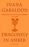 Dragonfly in Amber